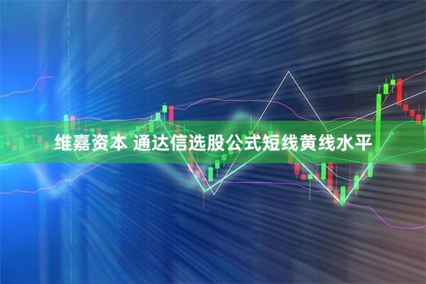 维嘉资本 通达信选股公式短线黄线水平