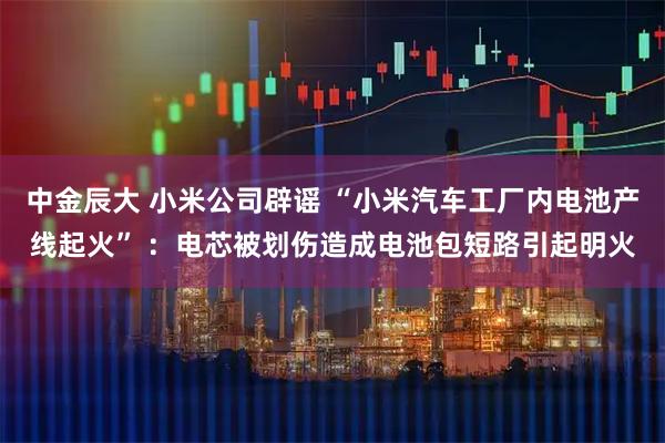 中金辰大 小米公司辟谣 “小米汽车工厂内电池产线起火” ：电芯被划伤造成电池包短路引起明火