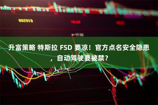 升富策略 特斯拉 FSD 要凉!官方点名安全隐患,自动驾驶要被禁?